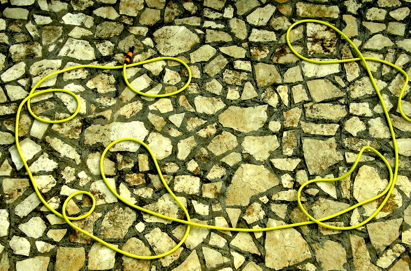 Yellow circles