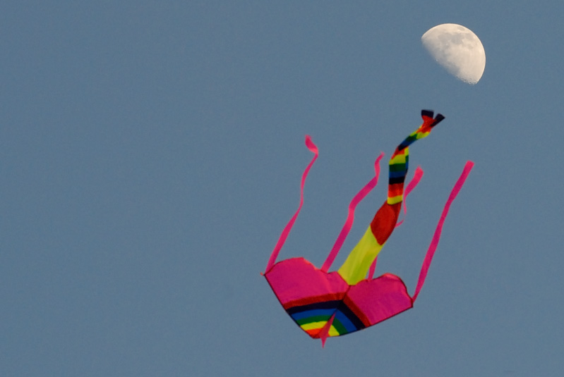 Dec 7    Fly me to the moon!