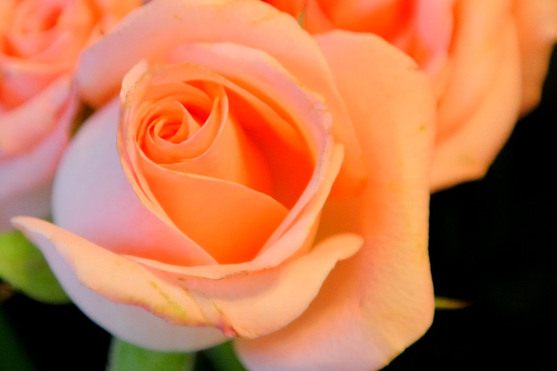 May 8  Happy Mothers Day!