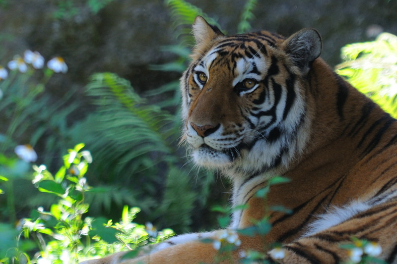 May 9  Beautiful day at the zoo!