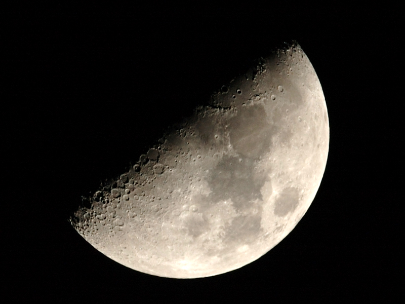 7 1/2 day moon