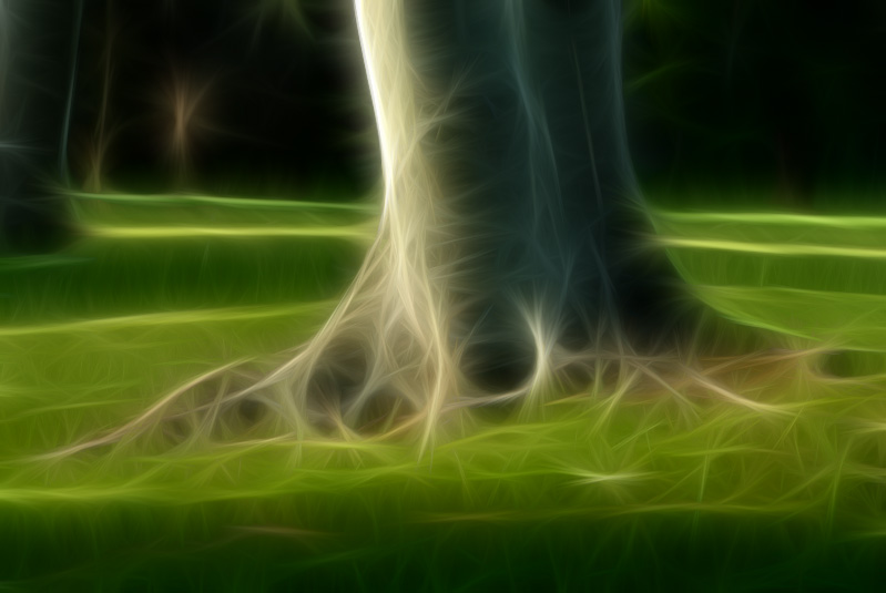 May 2  Fractalius roots