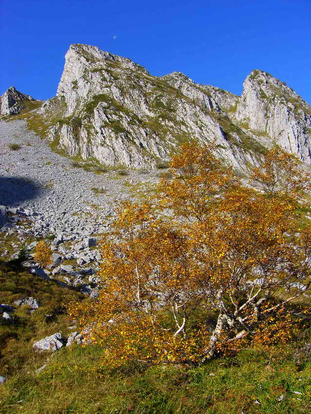 _H104468.JPG