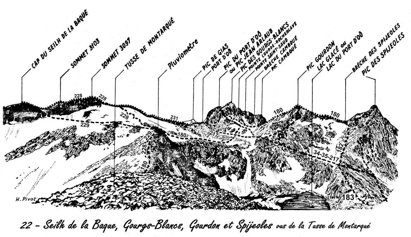 22 Gourgs Blancs Spigeoles