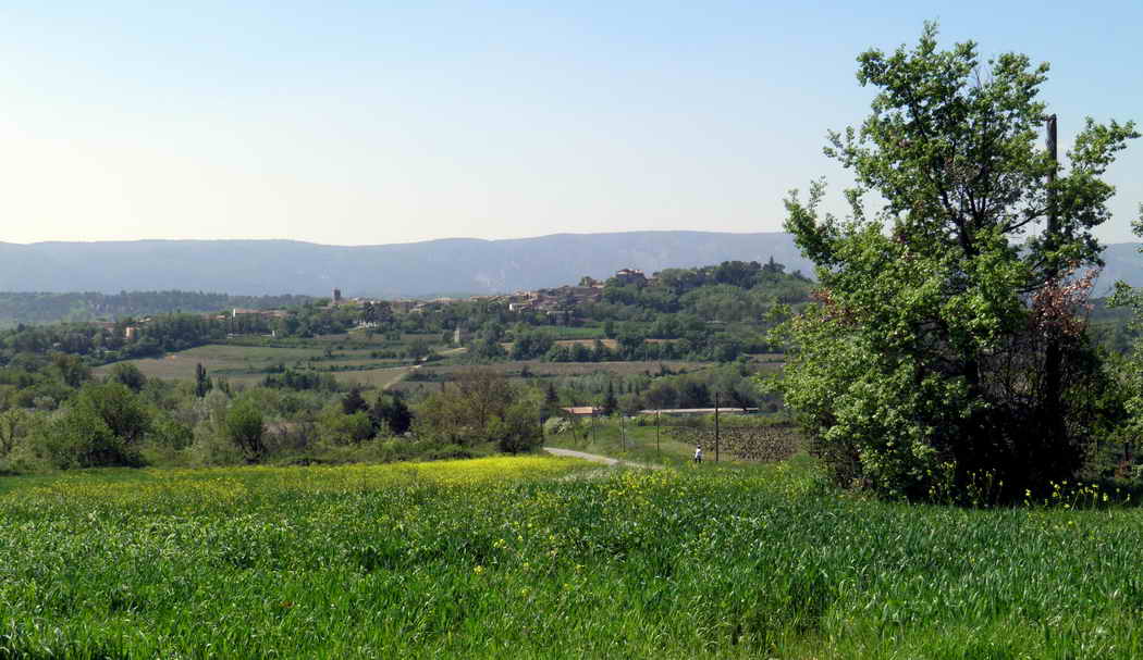 P4290524.JPG