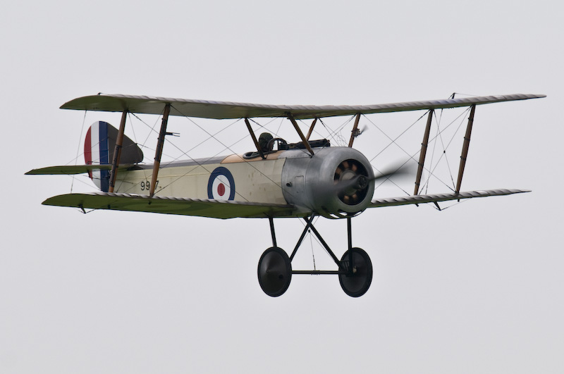 DSC_0881.jpg