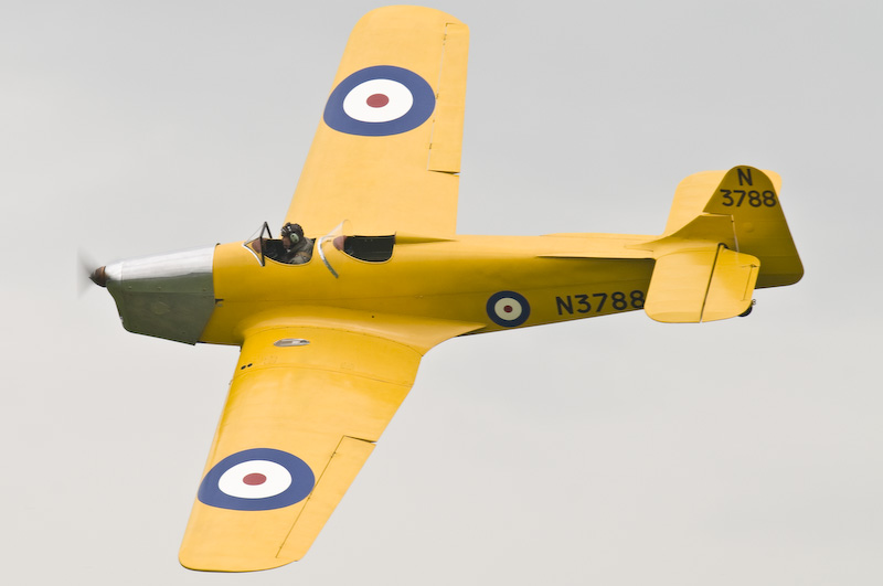 DSC_1001.jpg