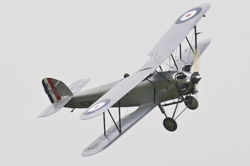 DSC_1223.jpg