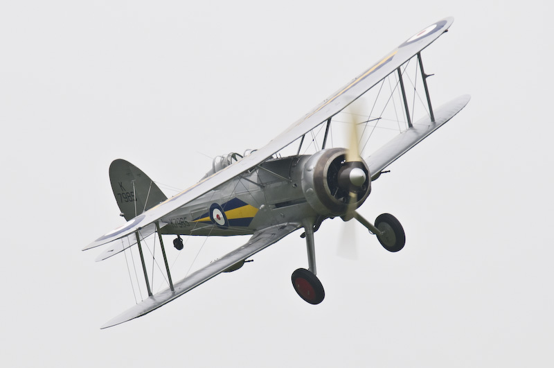 DSC_1355.jpg