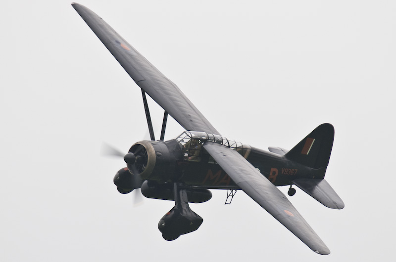 DSC_1461.jpg