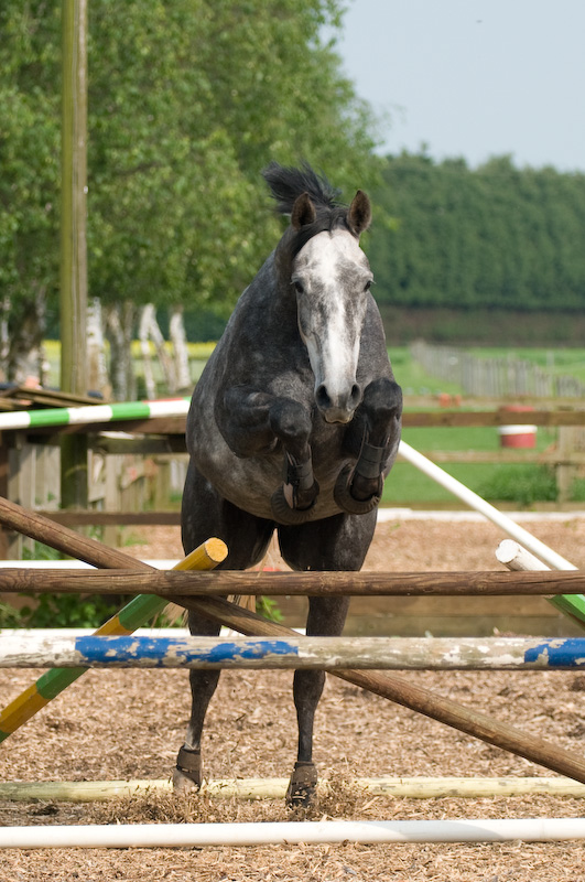 DSC_1615.jpg