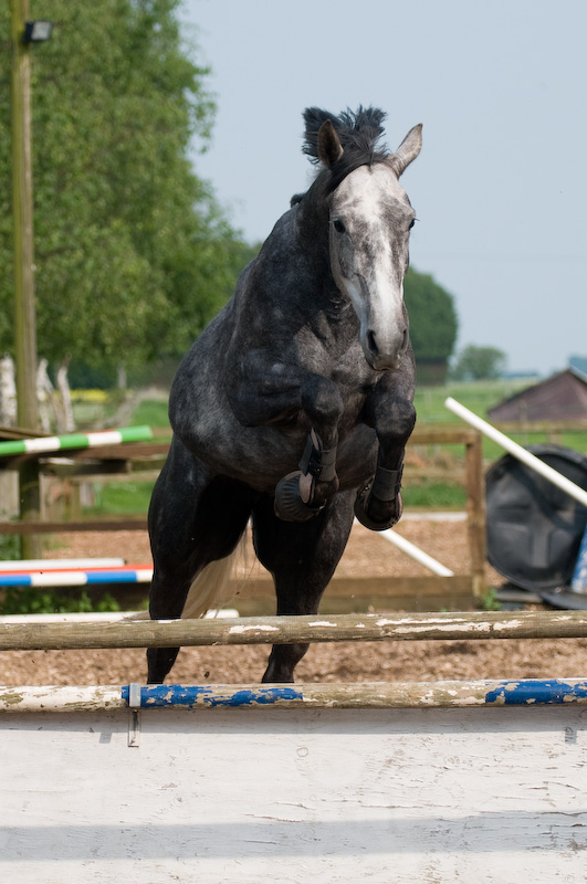 DSC_1708.jpg