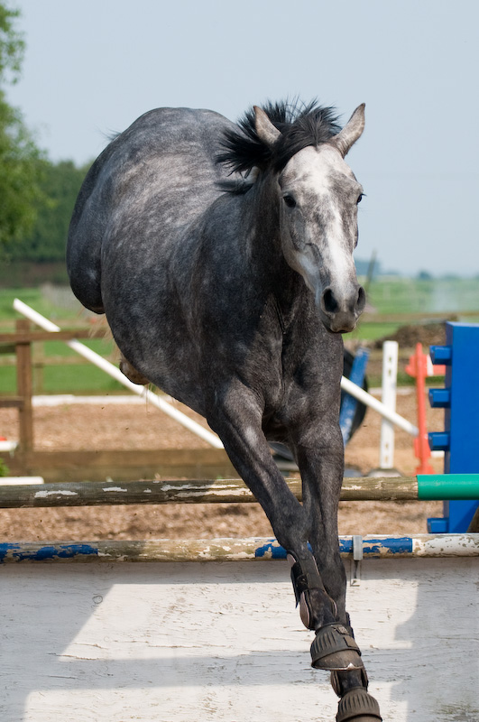 DSC_1710.jpg