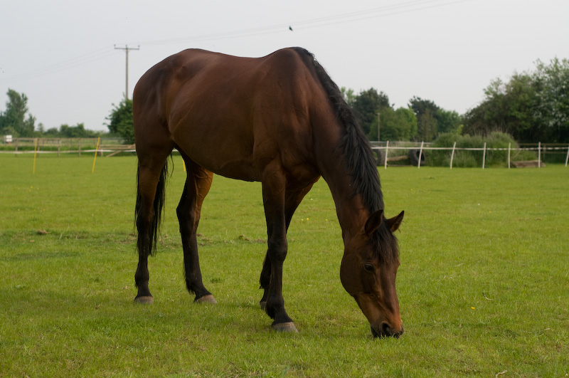 DSC_1792.jpg