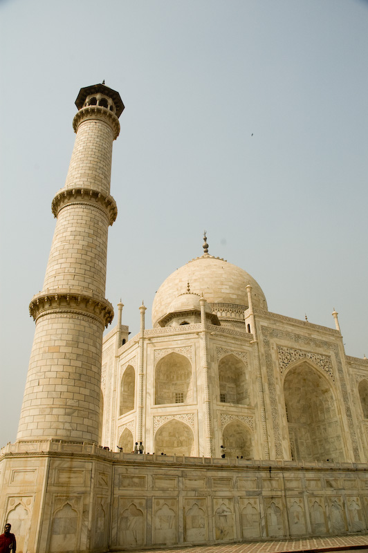DSC_3341.jpg
