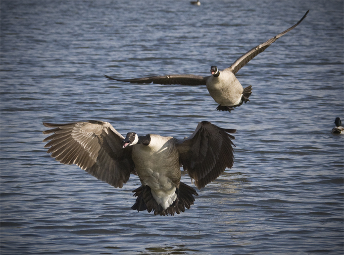 IMG_9548 pbase.jpg