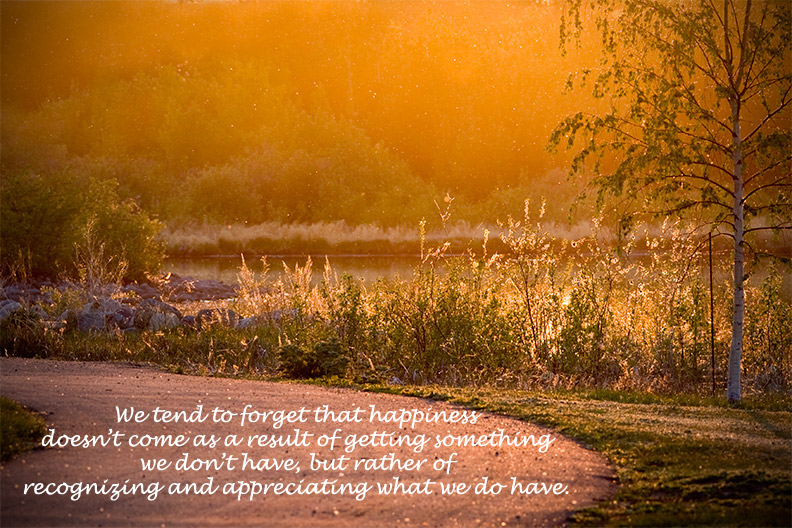 Happiness