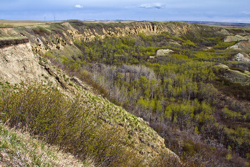 Along the North Ridge