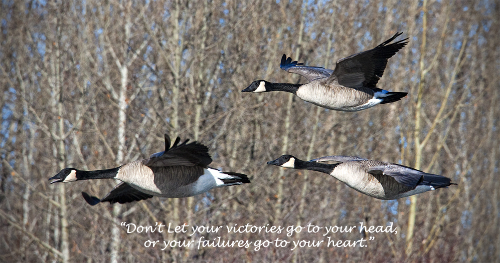 To Your Heart