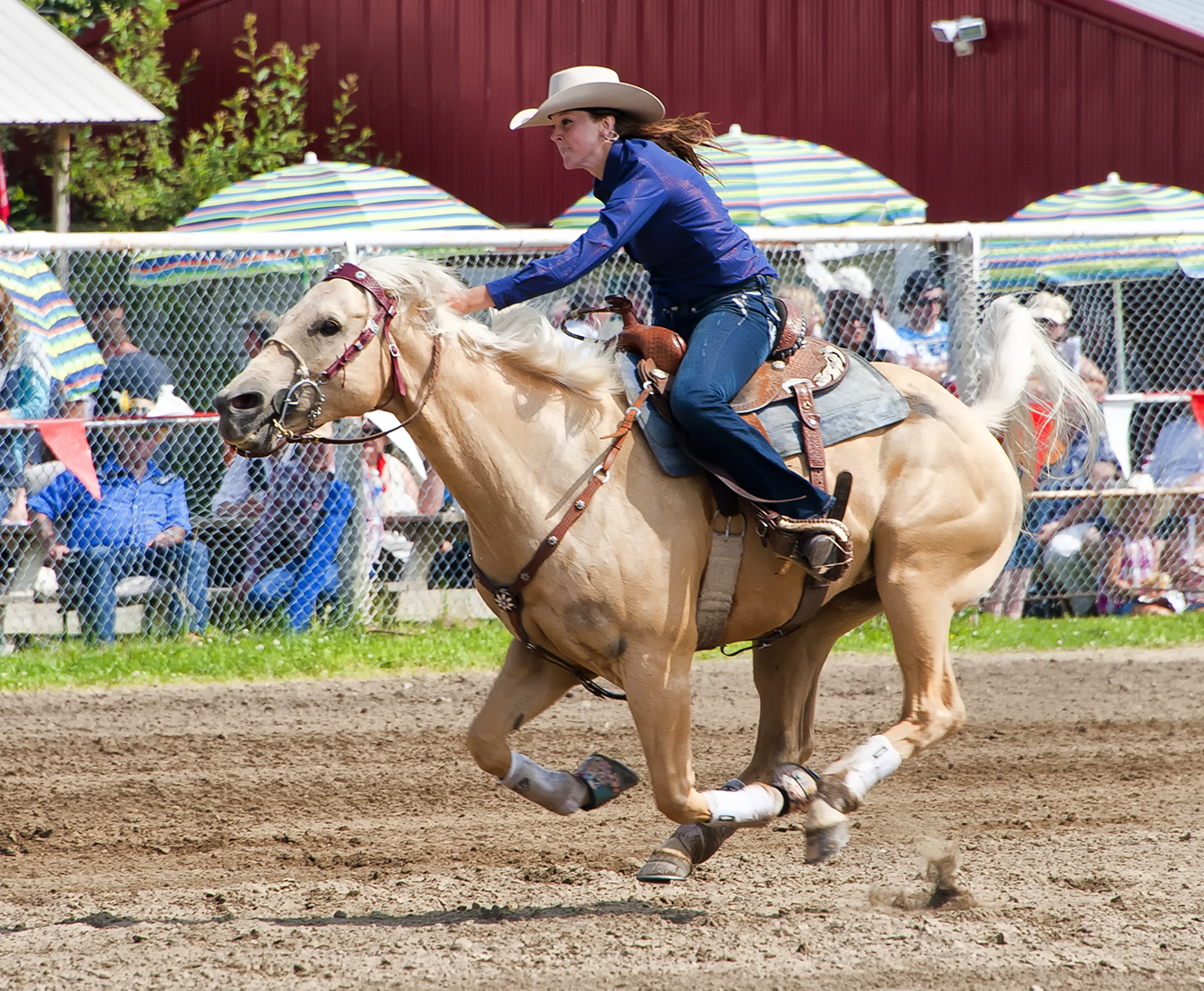 Ladies Barrel Buck Lake Stampede 2012