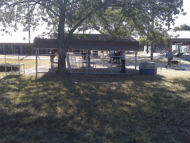Lackland3 Handlers