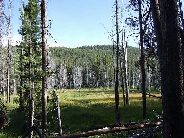 Stanley-029.jpg