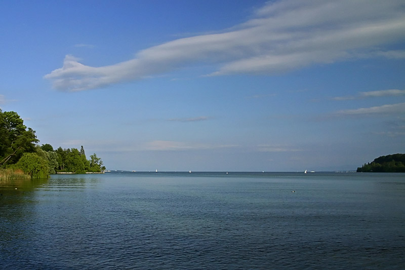 IMG_9470.jpg