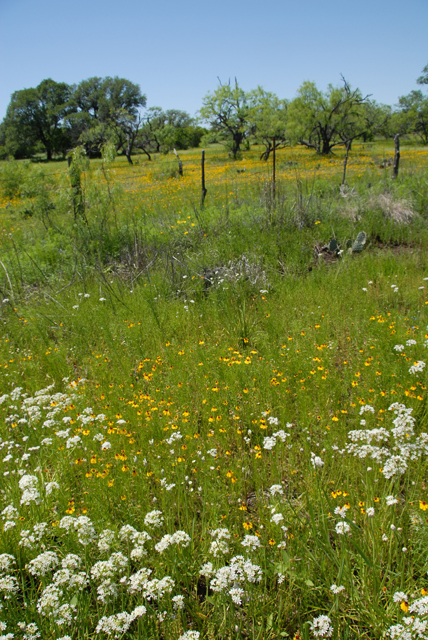 4-25-2010 Mason and Llano TX 62.jpg