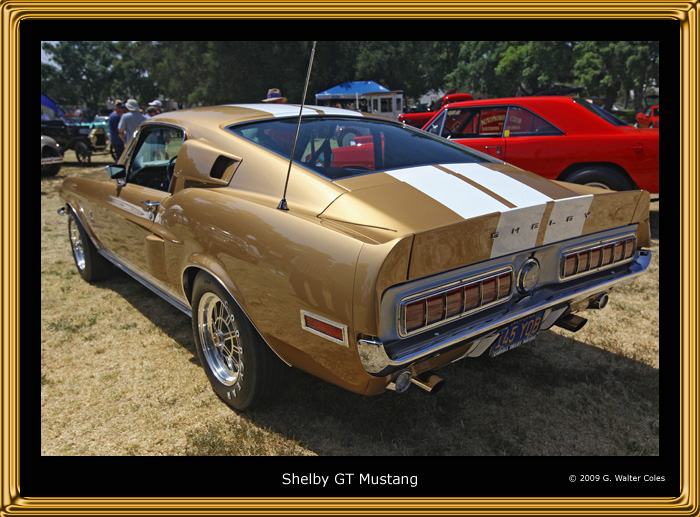 Mustang 1960s Shelby R.jpg