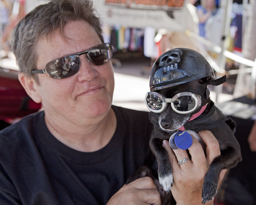 Dog with Goggles and Helmet.jpg