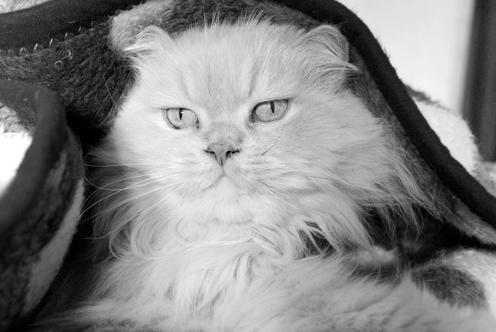 Desaturated