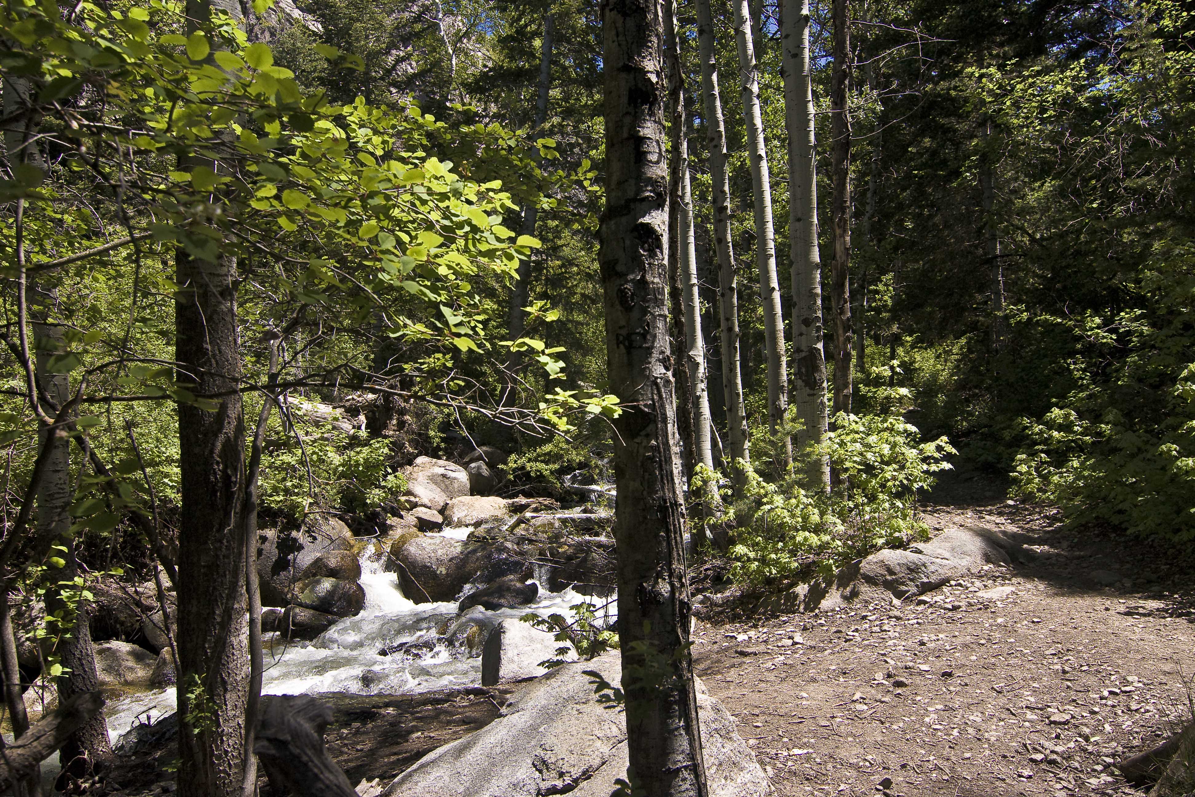 The trail parallels the creek to the falls