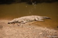 DSC_0102.JPG