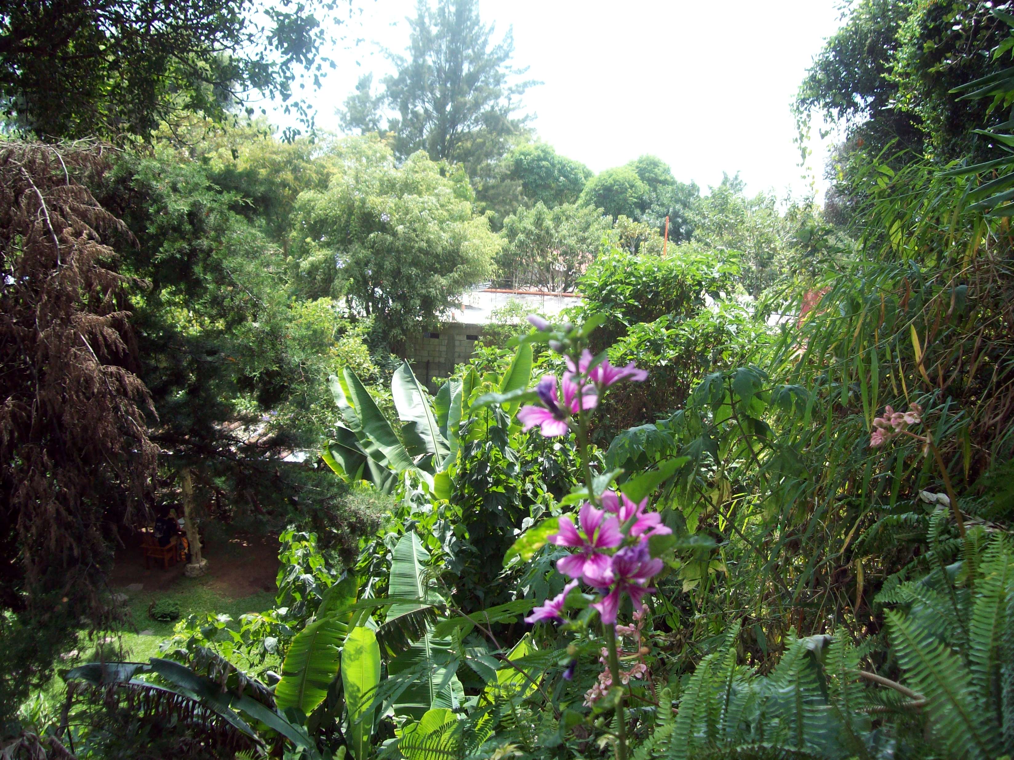100_0551.JPG