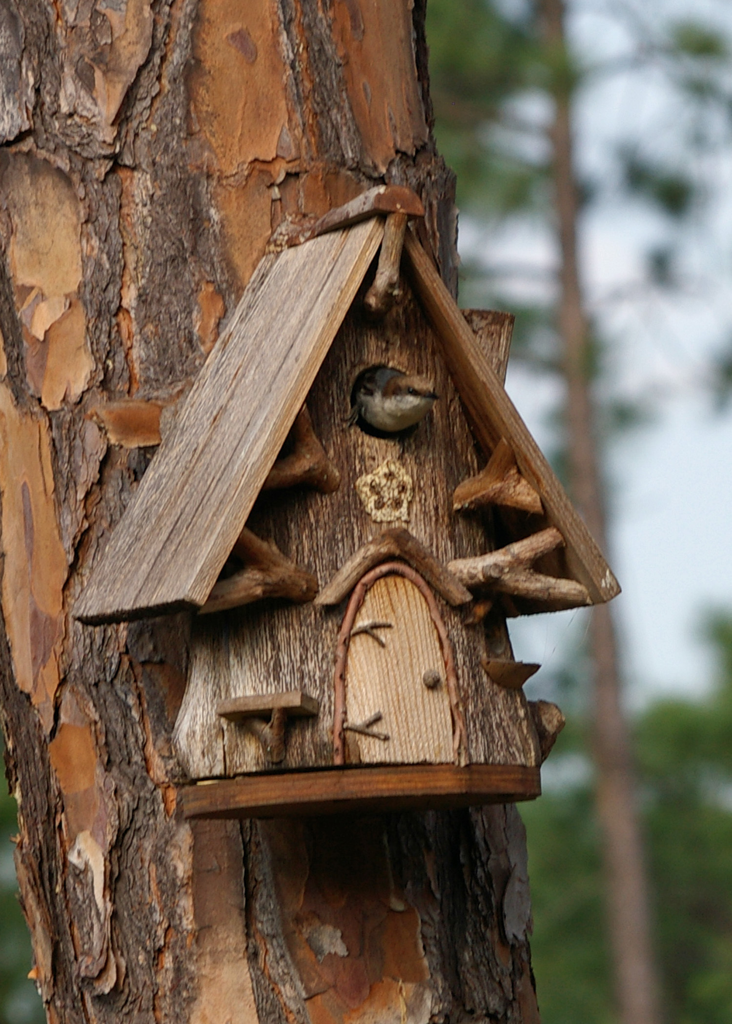 Bird House