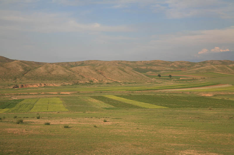 XIMG_6215.jpg