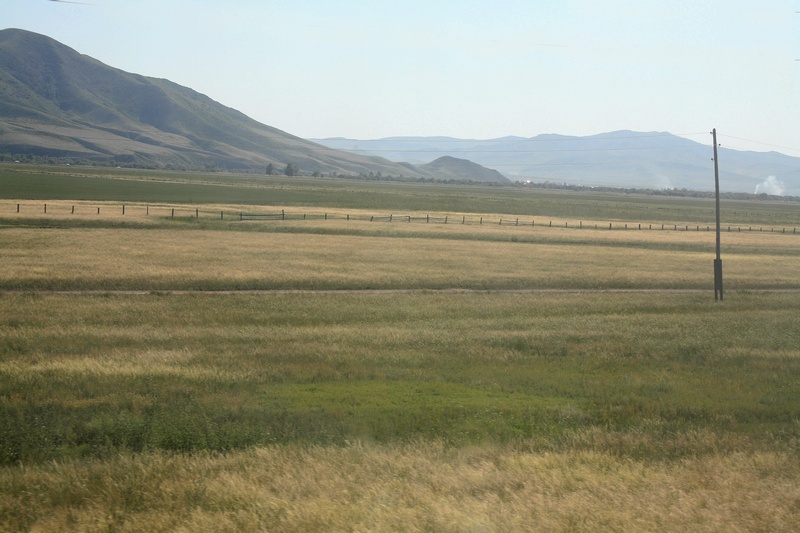 Grasslands