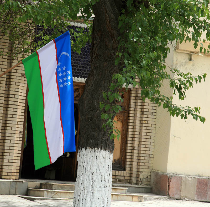 Uzbekistan Flag