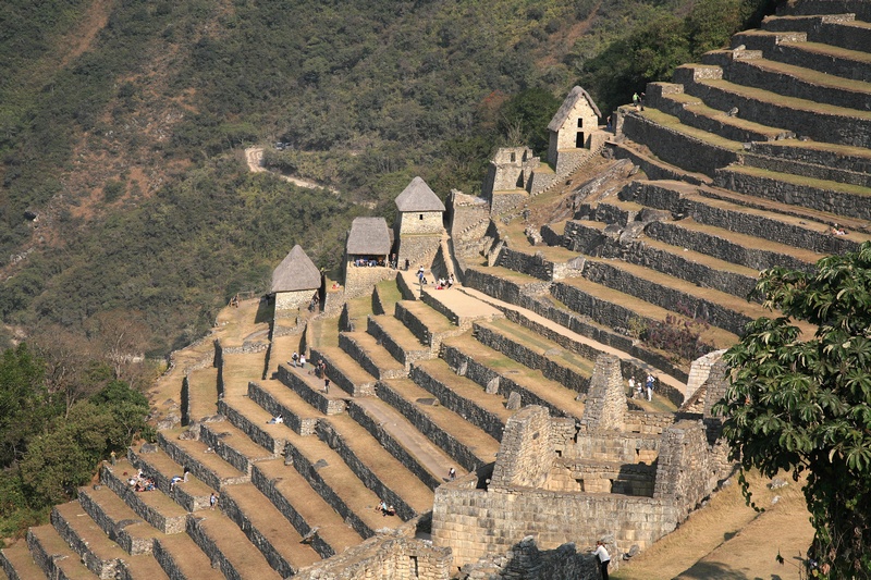 Agricultural Sector