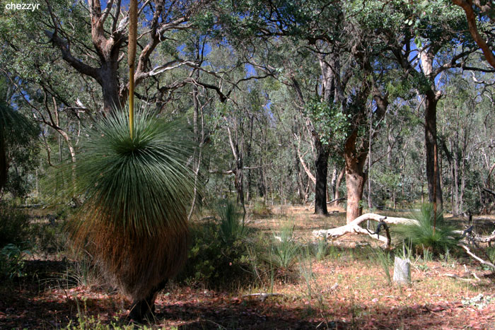 0003-warby ranges