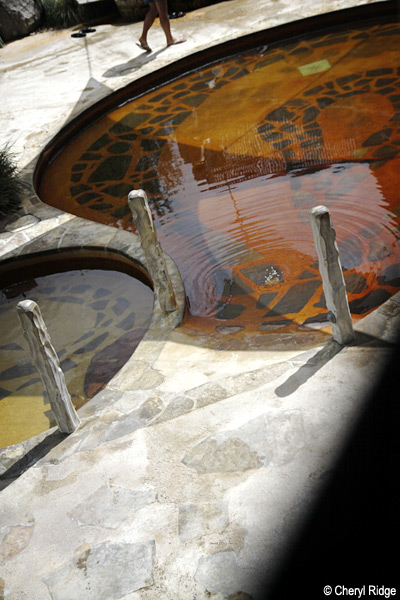5699-springs.jpg