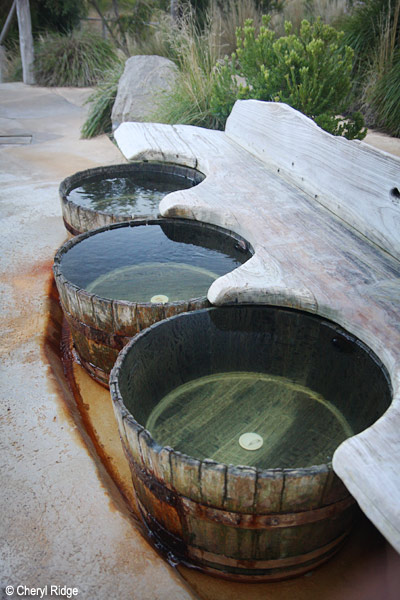 6156- Wine Barrel pools