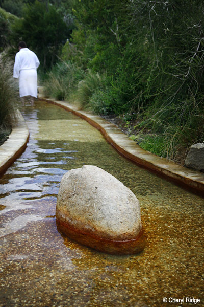 5704- Reflexology Walk