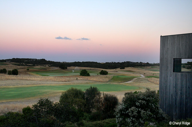 6152b-moonah.jpg