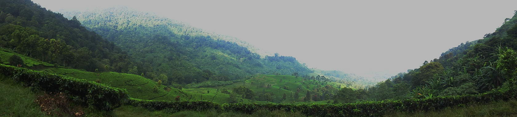 RA20010_resize.JPG