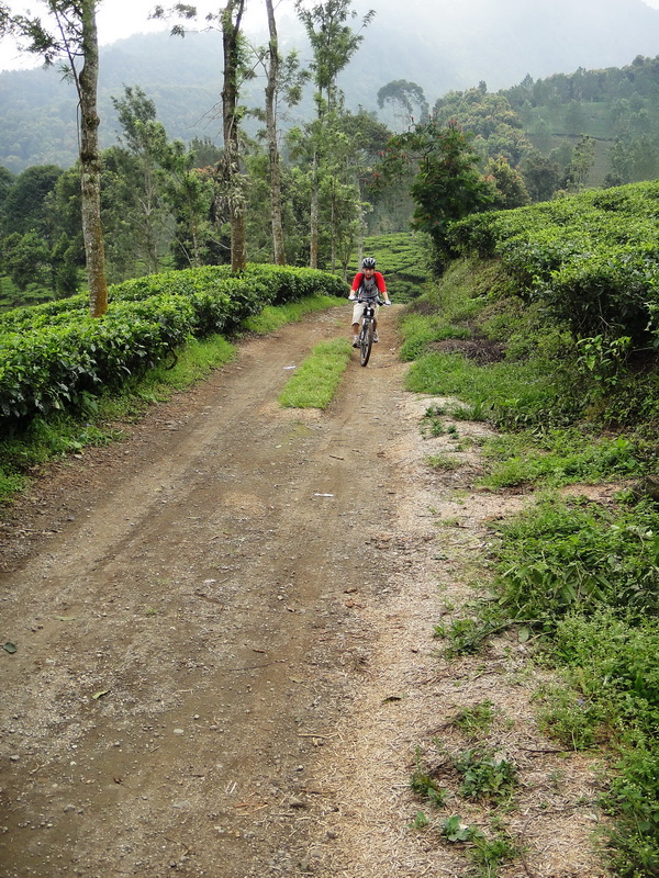 RA20045_resize.JPG