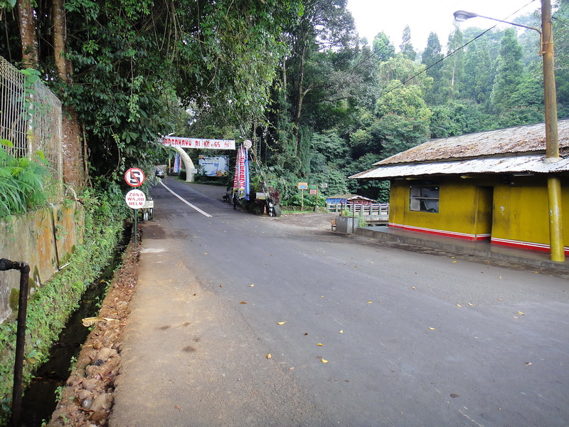 RA20052_resize.JPG