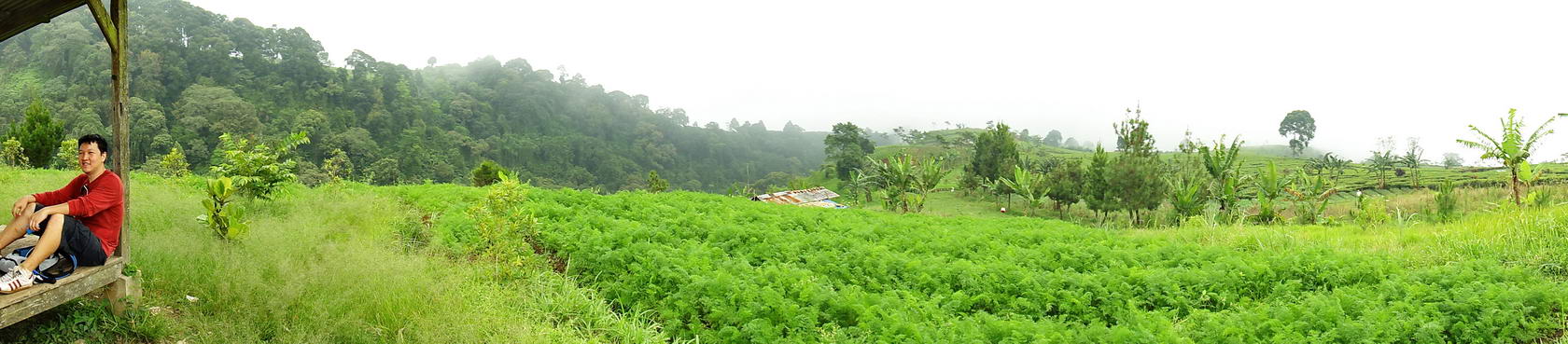 RA20062_resize.JPG
