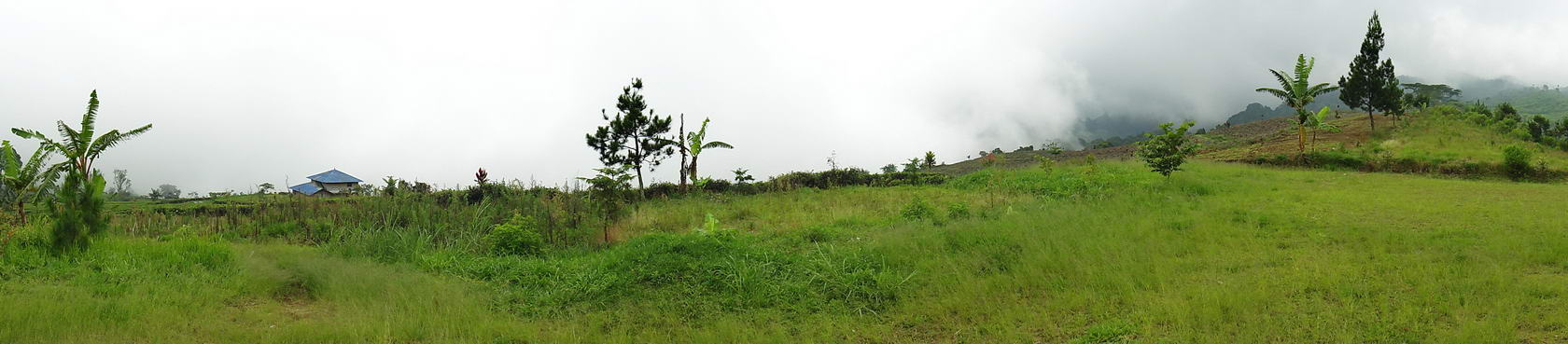 RA20063_resize.JPG