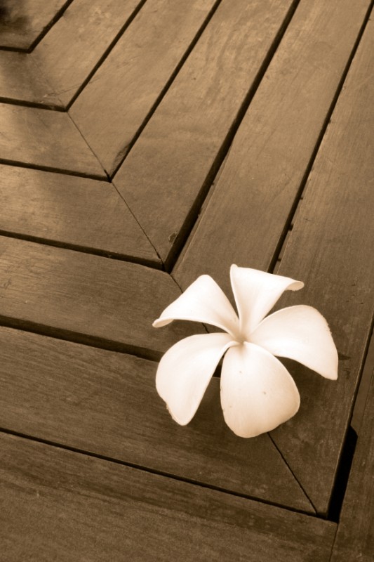 Diagonal flower